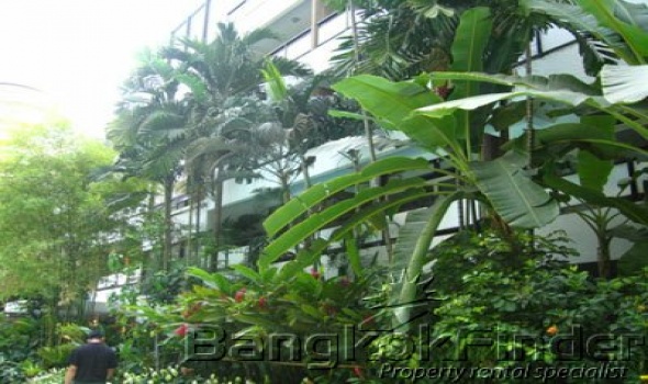 3 Bedrooms, アパートメント, 賃貸物件, Nang Linchi, 2 Bathrooms, Listing ID 385, Sathorn, Bangkok, Thailand, 10120,