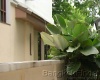 4 Bedrooms, 一戸建て, 賃貸物件, 4 Bathrooms, Listing ID 3002, Bangkok, Thailand,